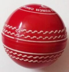 cricket punch balls